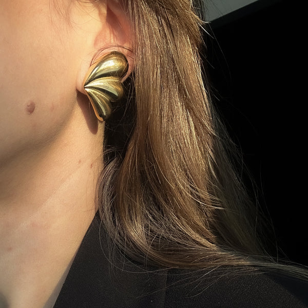 Boucles d'oreilles Ailles