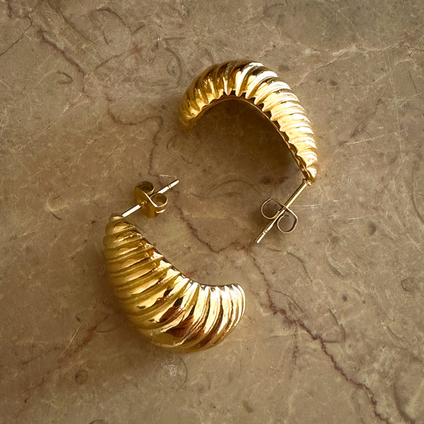 Boucles d'oreilles Denis